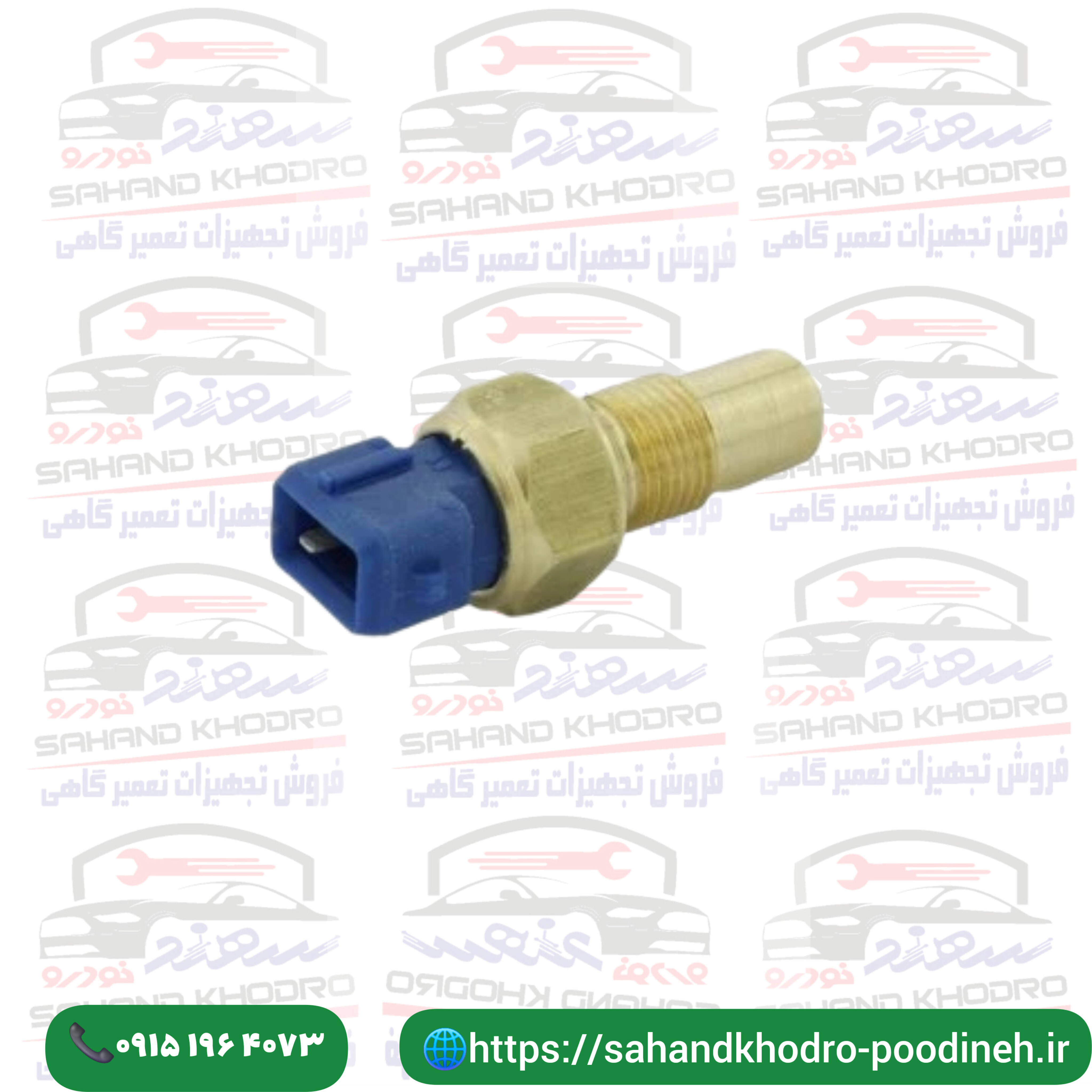 فشنگی آب یک فیش ایساکو-ابی